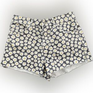 Zara Denim Daisy Shorts - Size 4 - NWT - Super cute!!